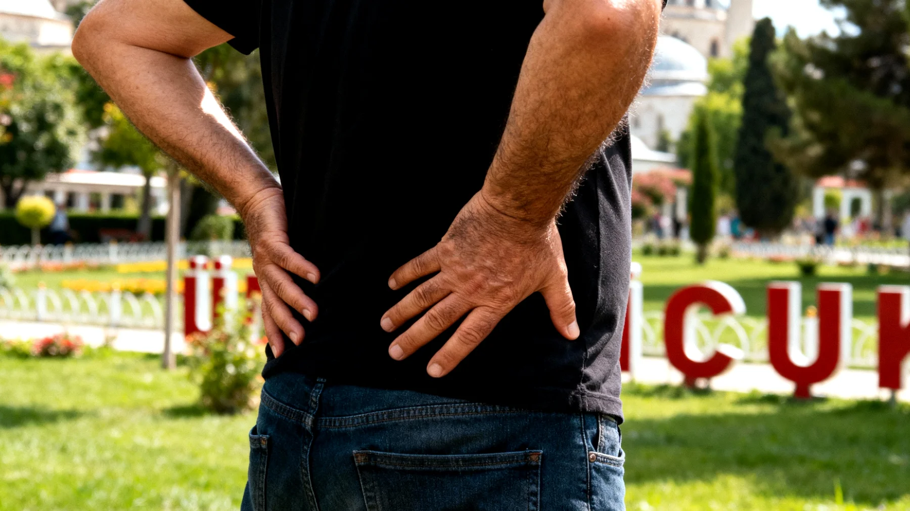 Çit budama makinesi"