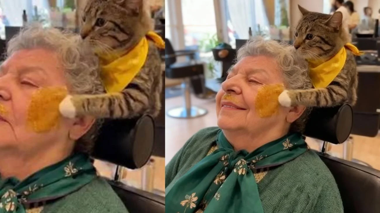 azıcık canım kalmış haha😅 #KediMaymun #HayvanKuaför #KomikVideo #Fyp #ForYOU ."